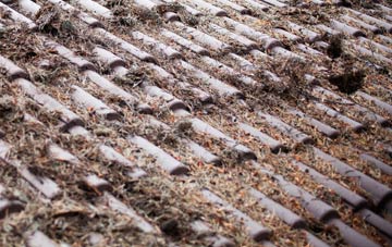 Brookhurst roof cleaning companies