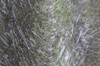 Brookhurst fibreglass roof work